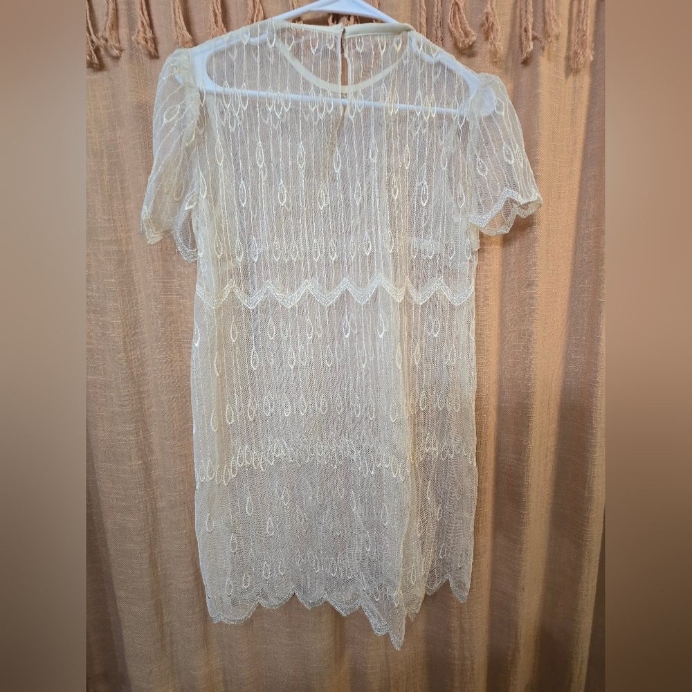 Cream Lace Dress - Picture 4 of 4